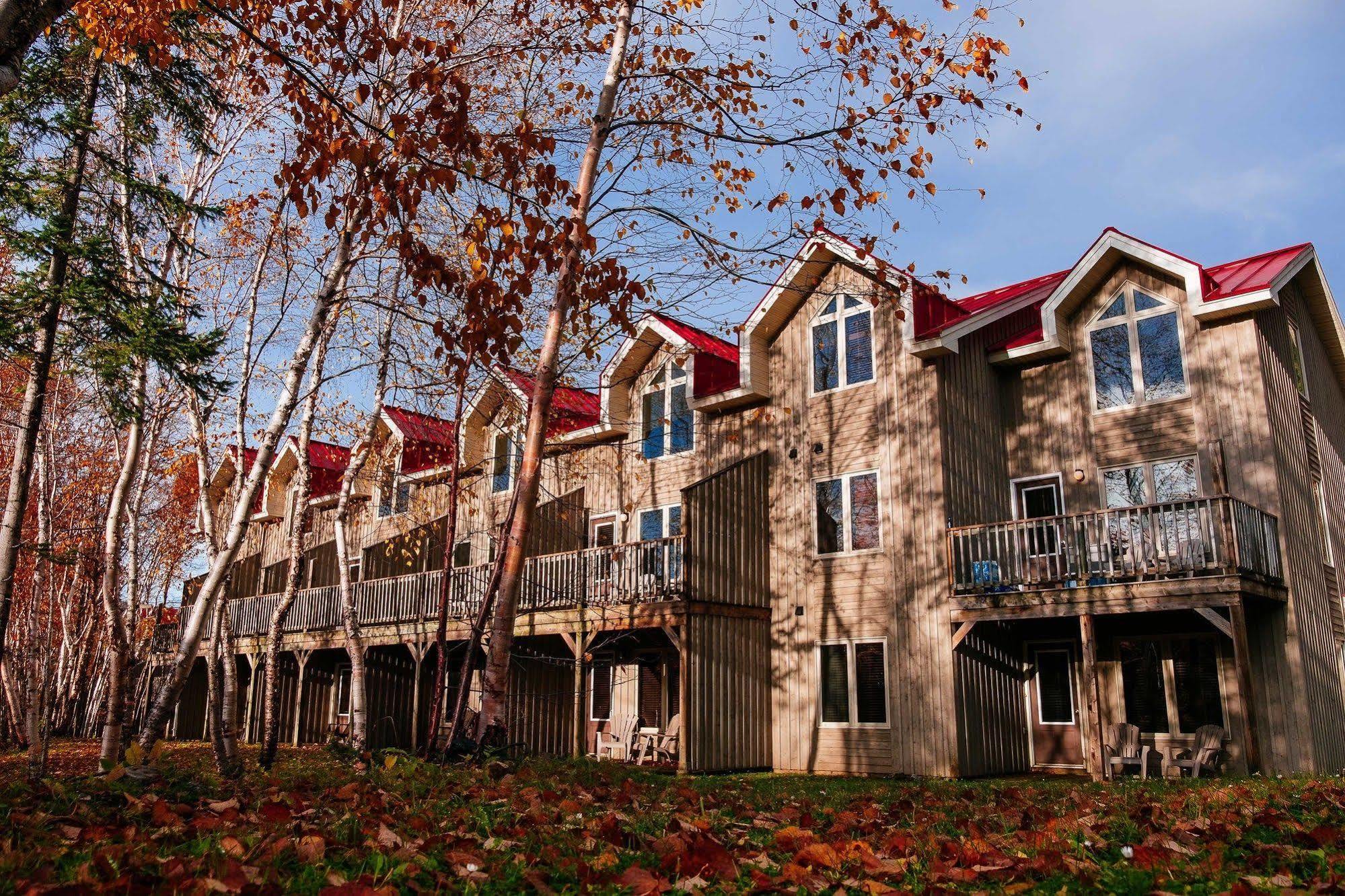 Marblewood Village Resort Steady Brook Ngoại thất bức ảnh